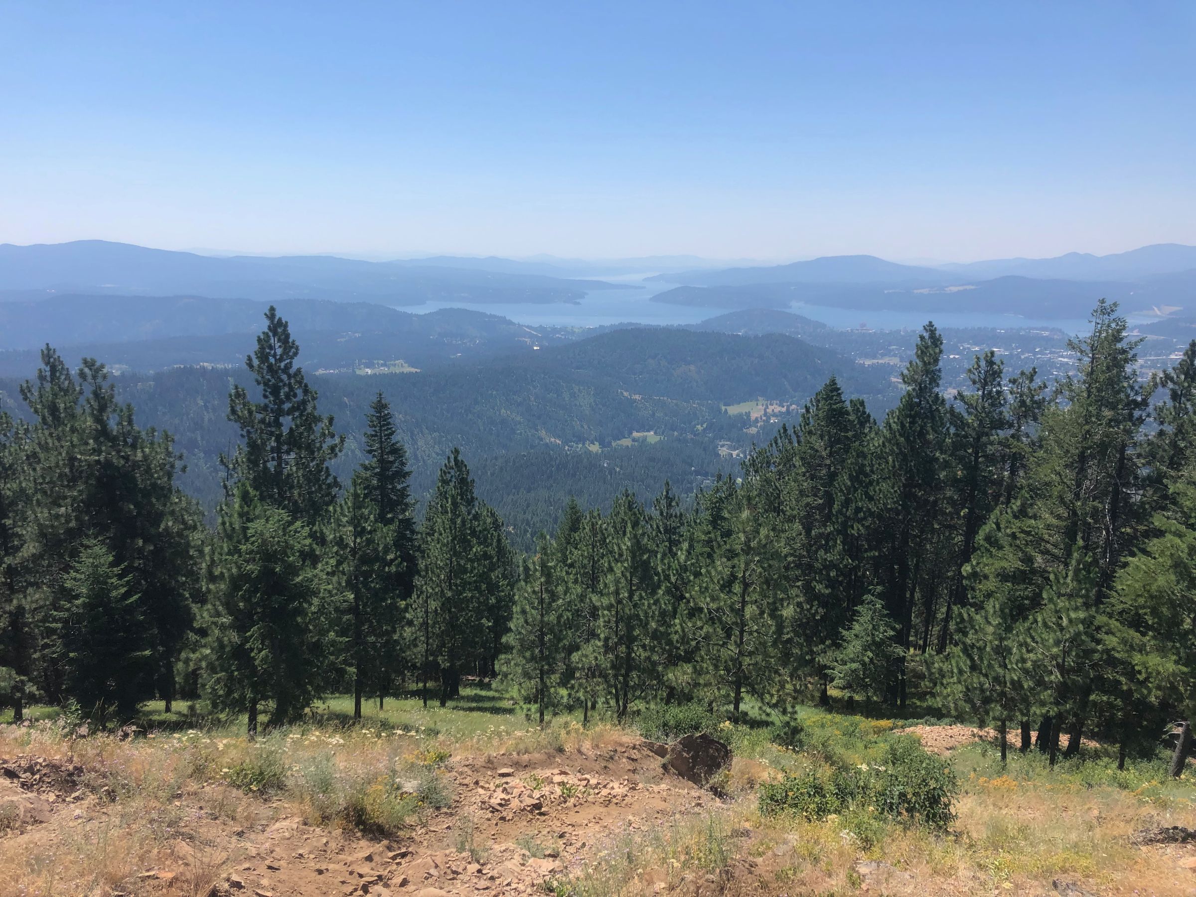 Canfield Mountain Trail System near Coeur d'Alene