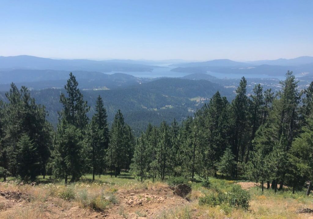 View of Lake Coeur d'Alene from Canfield Mountain